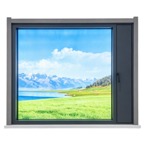 System Windows